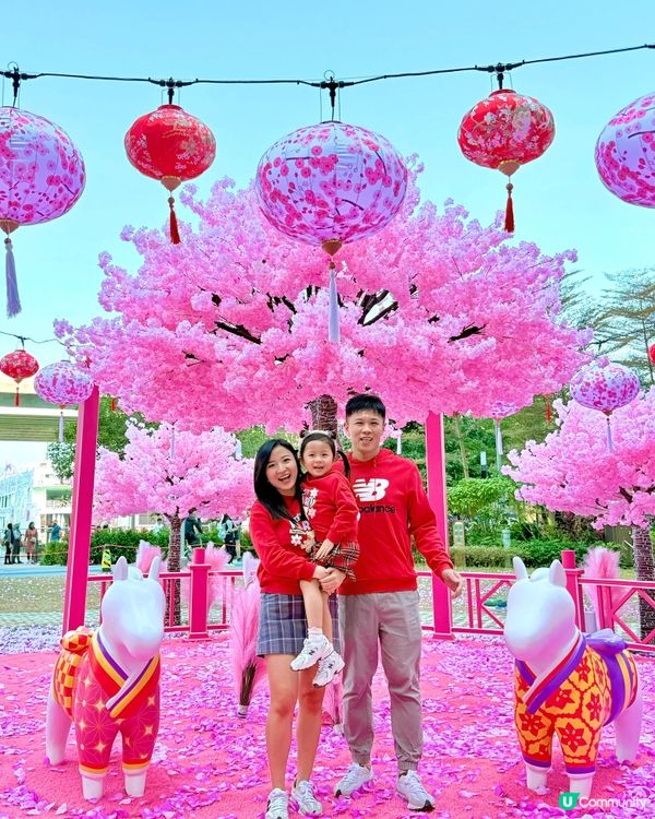 😍🙀超靚粉紅花海🌸約定你新年必到打卡位！💞🫰🏻