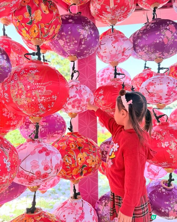 😍🙀超靚粉紅花海🌸約定你新年必到打卡位！💞🫰🏻