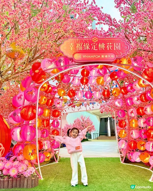 會唔會太靚😍🫰🏻今個新年必定仙氣滿滿的桃花園打卡🌸📸