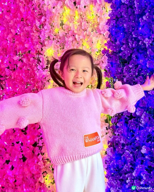 會唔會太靚😍🫰🏻今個新年必定仙氣滿滿的桃花園打卡🌸📸