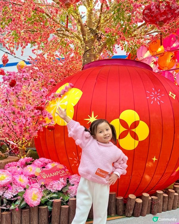 會唔會太靚😍🫰🏻今個新年必定仙氣滿滿的桃花園打卡🌸📸