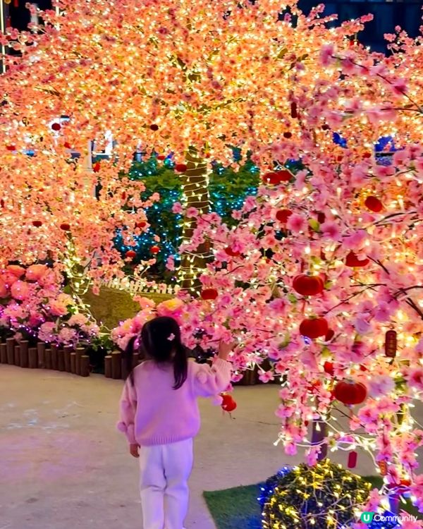 會唔會太靚😍🫰🏻今個新年必定仙氣滿滿的桃花園打卡🌸📸