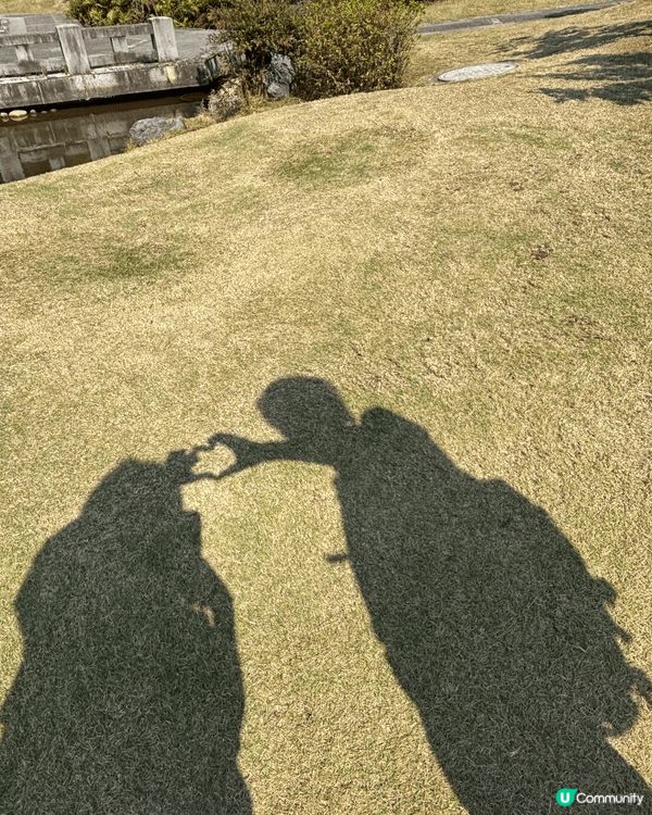 去深圳仙湖公園睇紅葉 🍁,真係一個好chill嘅活動!每年十...