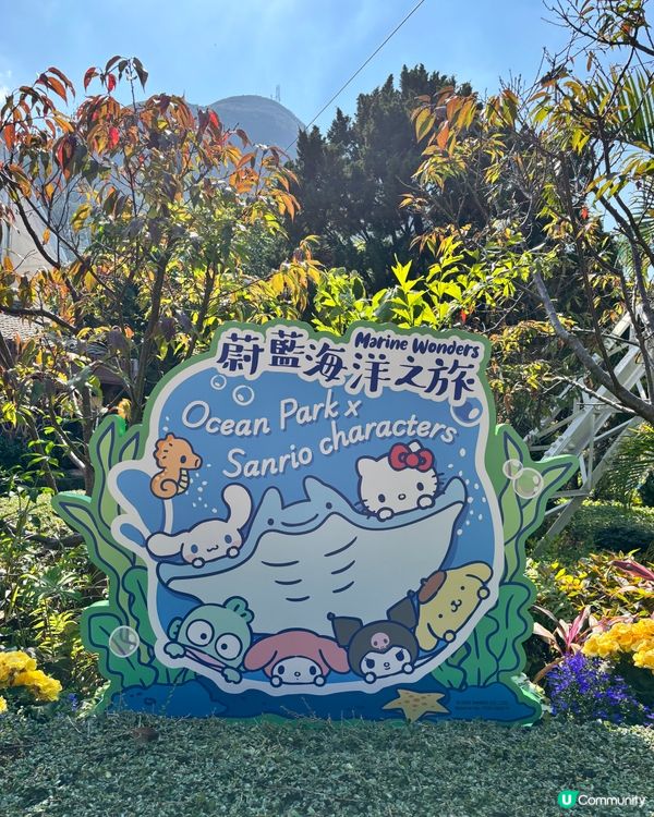 海洋公園新花款！🤩 必去打卡位！