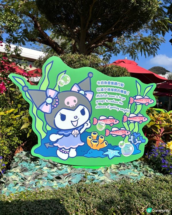 海洋公園新花款！🤩 必去打卡位！