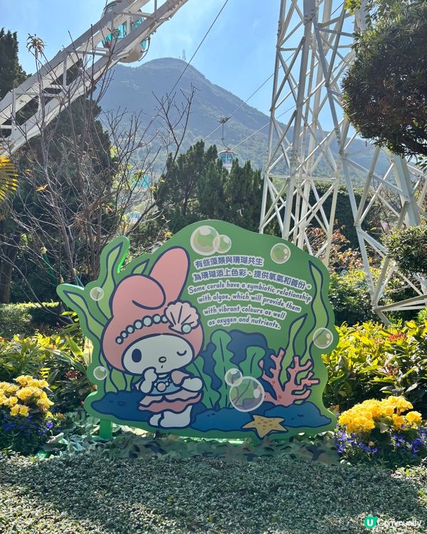 海洋公園新花款！🤩 必去打卡位！