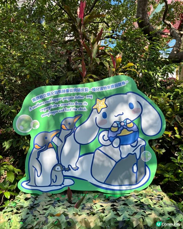 海洋公園新花款！🤩 必去打卡位！