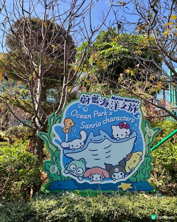 海洋公園新花款！🤩 必去打卡位！