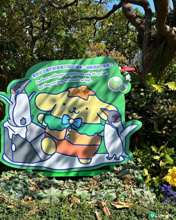 海洋公園新花款！🤩 必去打卡位！