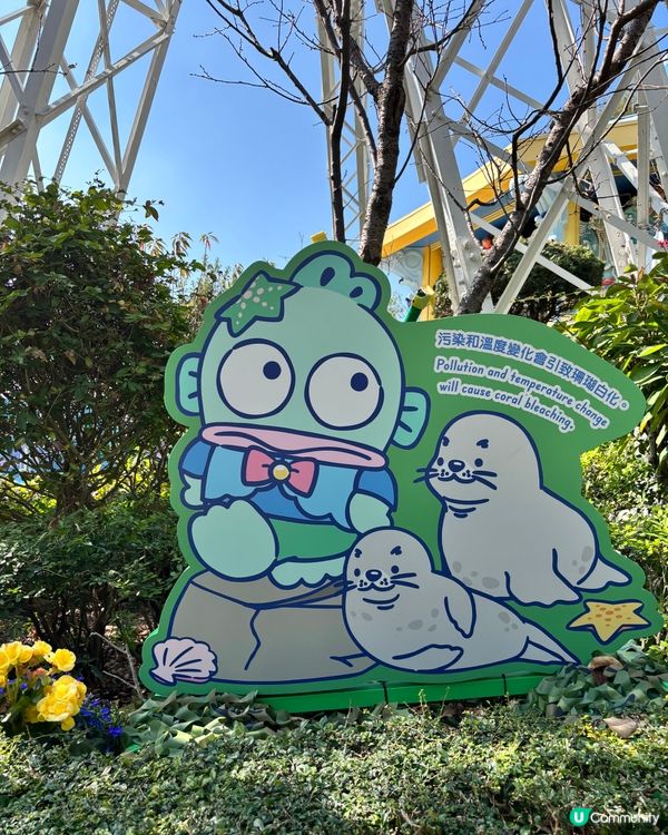 海洋公園新花款！🤩 必去打卡位！