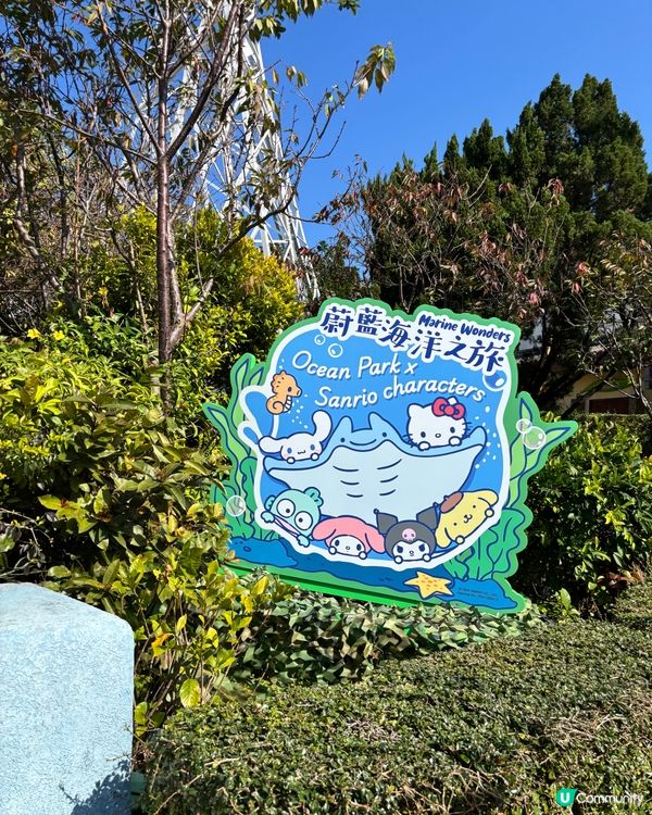 海洋公園新花款！🤩 必去打卡位！