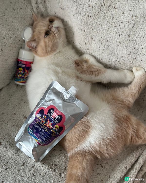 宠物用品。让毛孩子的Jiojio更干净