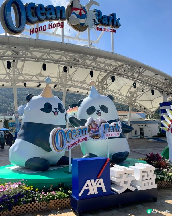 熊貓/纜車/Sanrio打卡攻略 🐼 必去位！