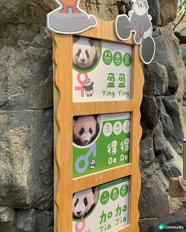 熊貓/纜車/Sanrio打卡攻略 🐼 必去位！