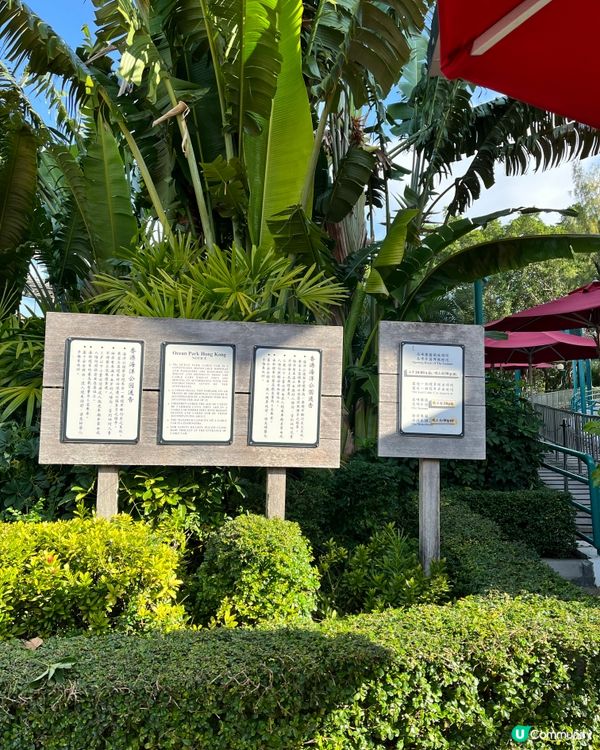 熊貓/纜車/Sanrio打卡攻略 🐼 必去位！