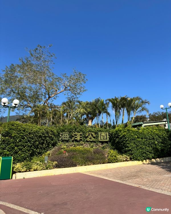 老香港風情！海洋公園新年限定！🧧✨