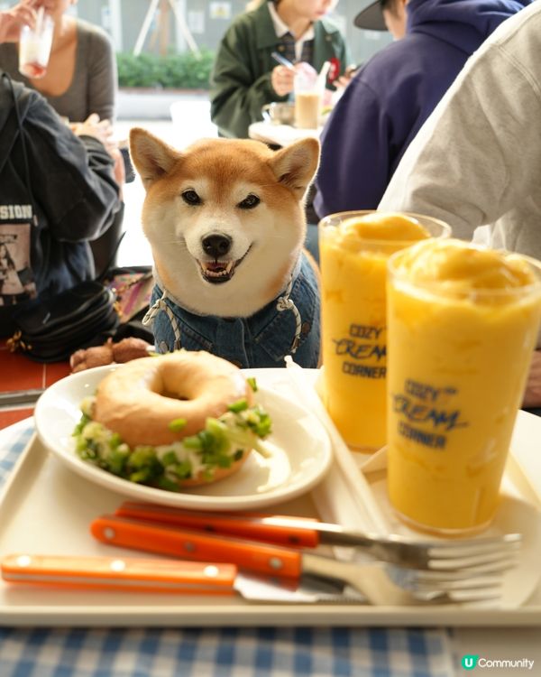 大熱韓式cafe🇰🇷