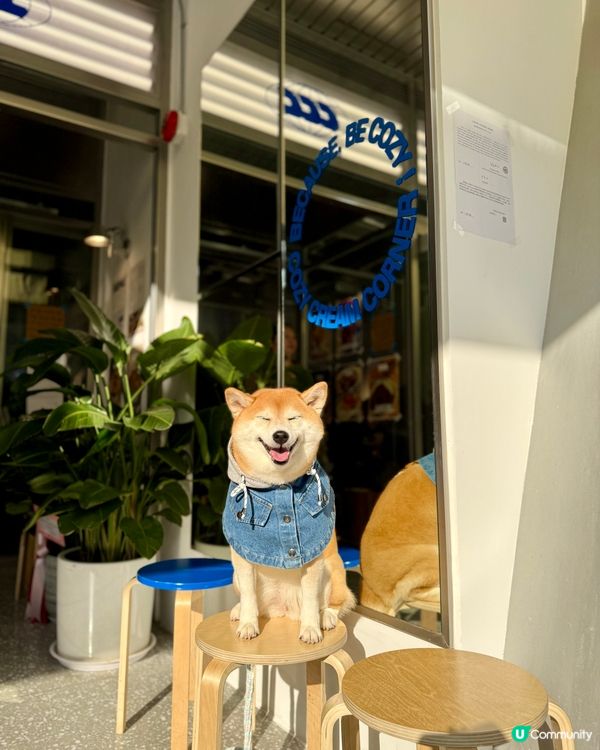 大熱韓式cafe🇰🇷