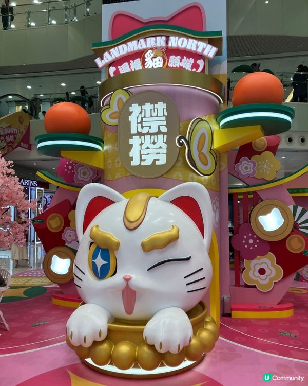 上水可愛的新年貓造型