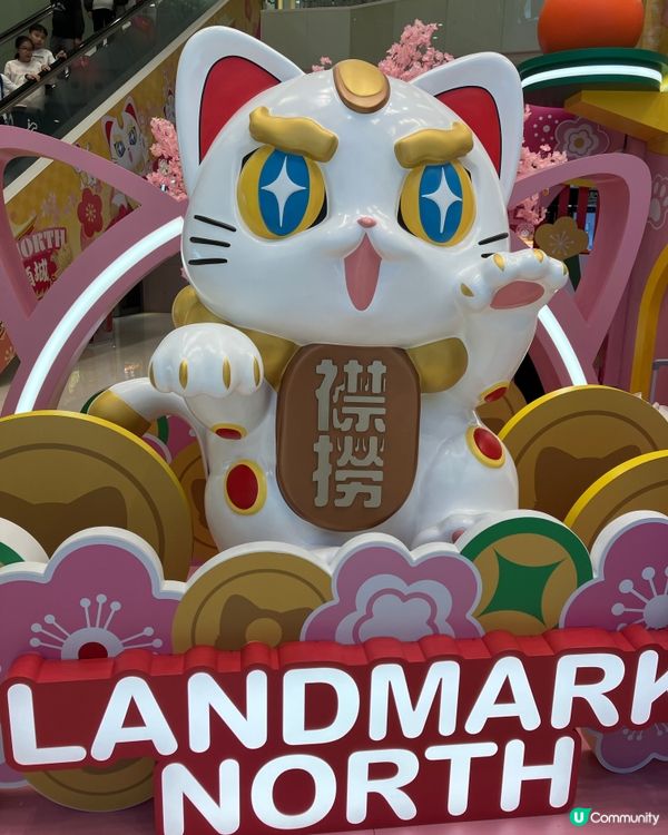 上水可愛的新年貓造型