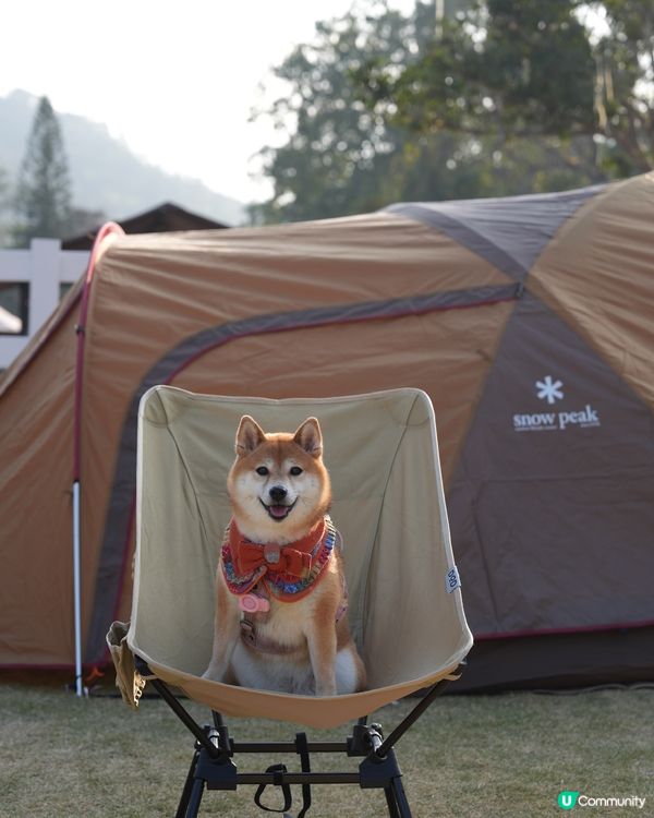 每年矇生日都會去staycation慶祝~