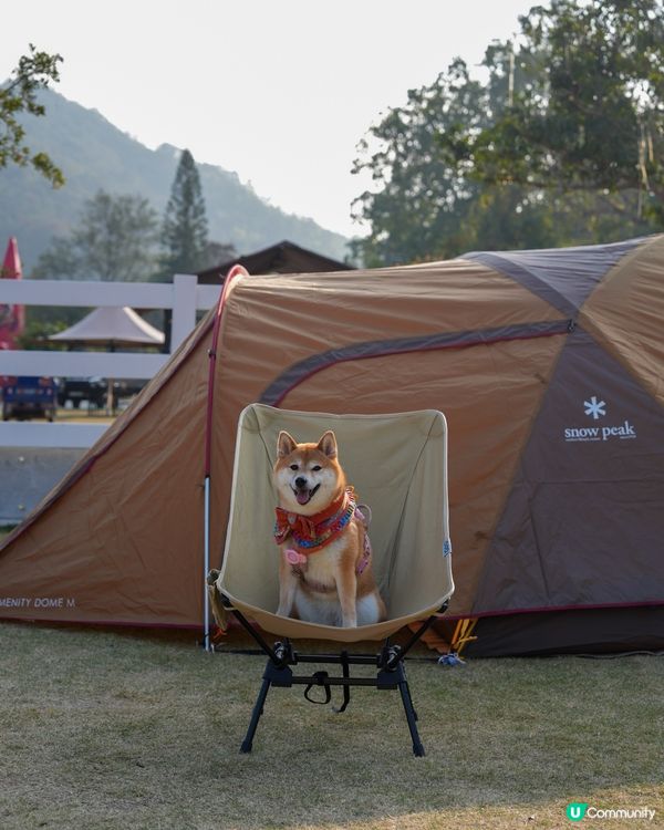 每年矇生日都會去staycation慶祝~