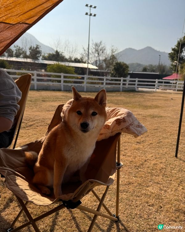 每年矇生日都會去staycation慶祝~