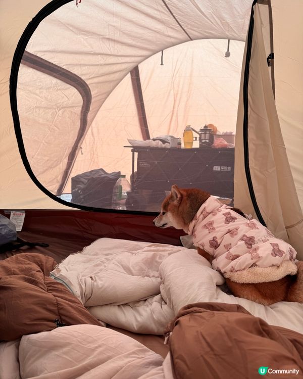 每年矇生日都會去staycation慶祝~