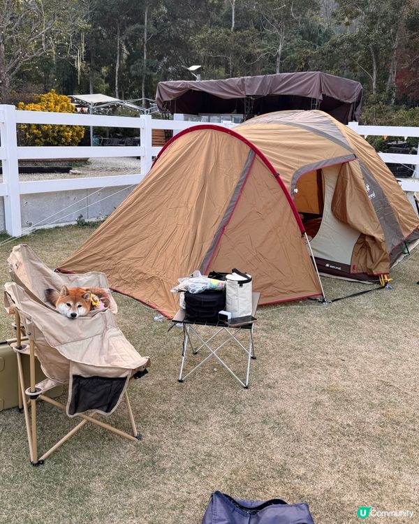 每年矇生日都會去staycation慶祝~