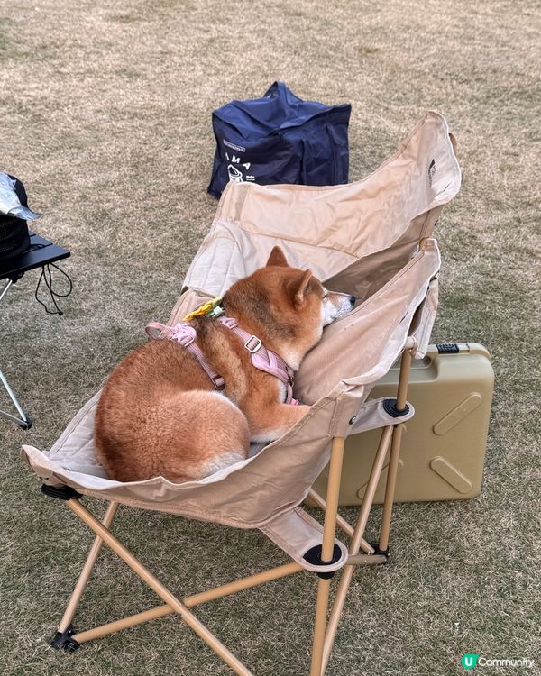 每年矇生日都會去staycation慶祝~