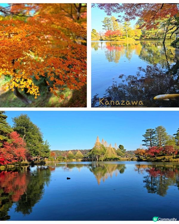 金澤江戶風情遊 🏯✨