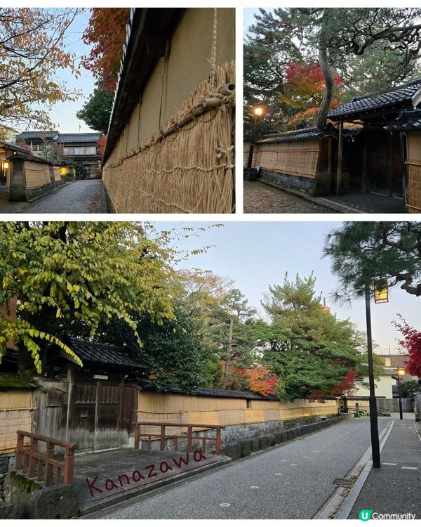 金澤江戶風情遊 🏯✨