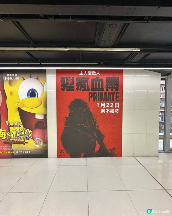 🕹 《 猩瘋血雨 》