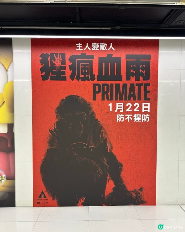🕹 《 猩瘋血雨 》