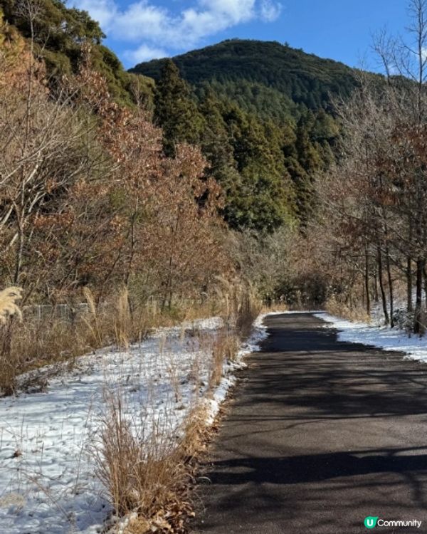 落雪九千部山❄️靚到癲！l