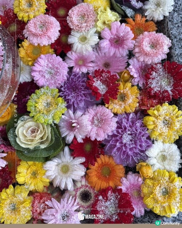 日本神社冬季限定「結冰花手水」！