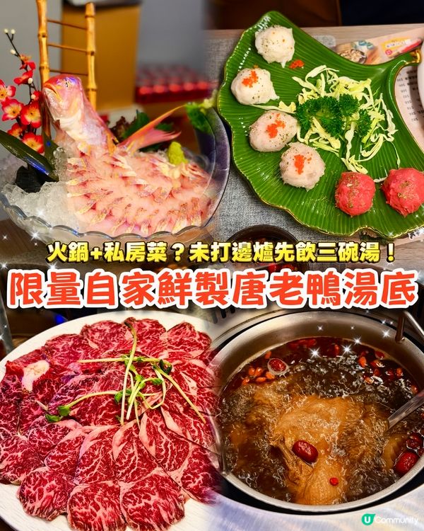 超高質油麻地私房菜火鍋🌟限量自家鮮製鴨湯🤩