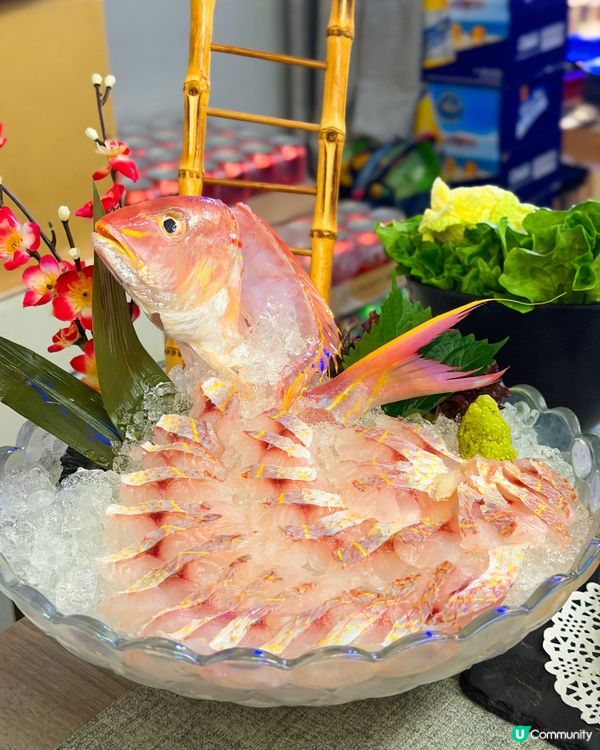 超高質油麻地私房菜火鍋🌟限量自家鮮製鴨湯🤩