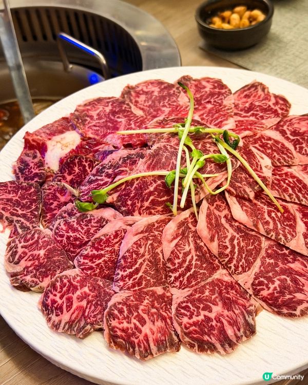 超高質油麻地私房菜火鍋🌟限量自家鮮製鴨湯🤩