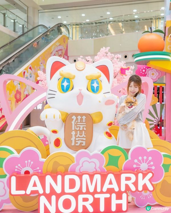 打卡貓願城！求籤有驚喜！ 🧧✨