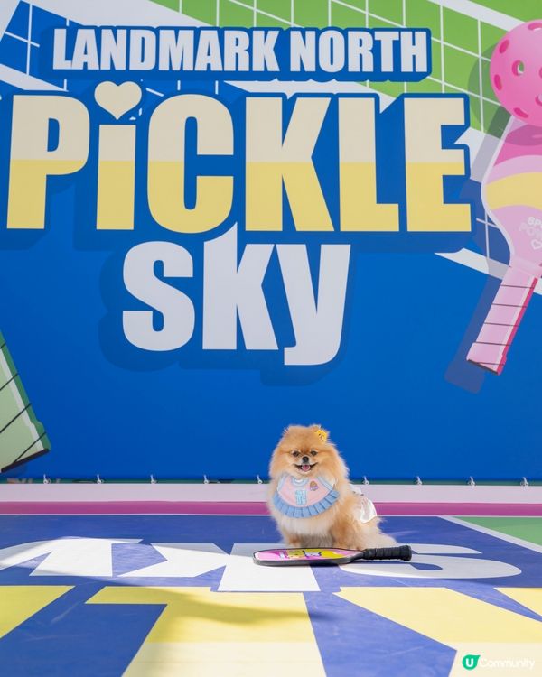 上水廣場寵物匹克球日！🐶🎾