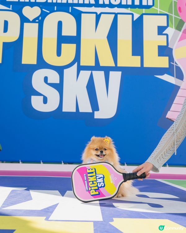 上水廣場寵物匹克球日！🐶🎾