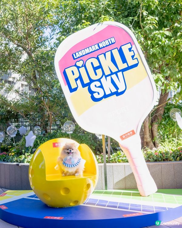 上水廣場寵物匹克球日！🐶🎾