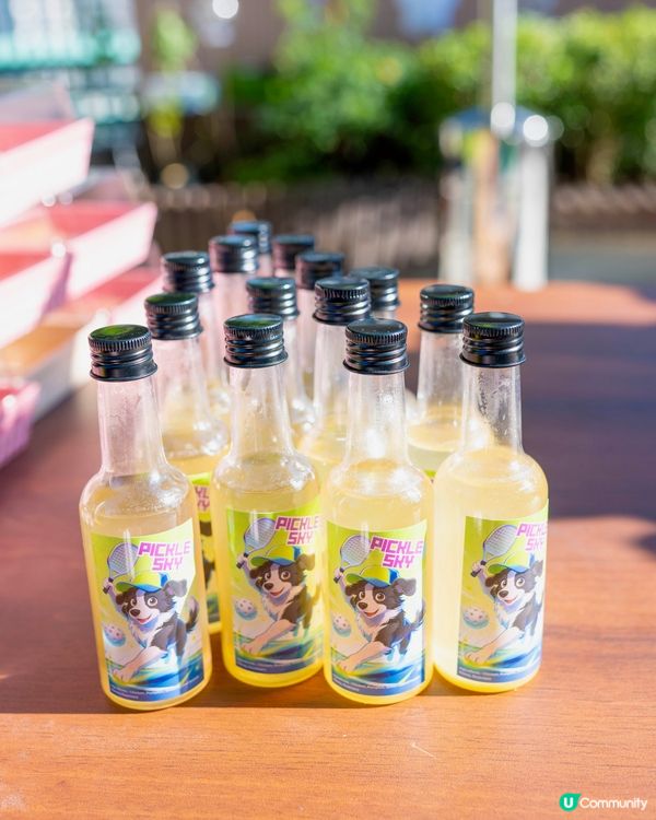 上水廣場寵物匹克球日！🐶🎾