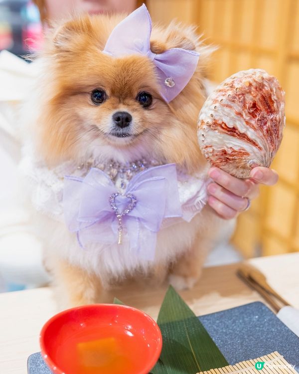 選擇多多嘅蒸氣海鮮火鍋