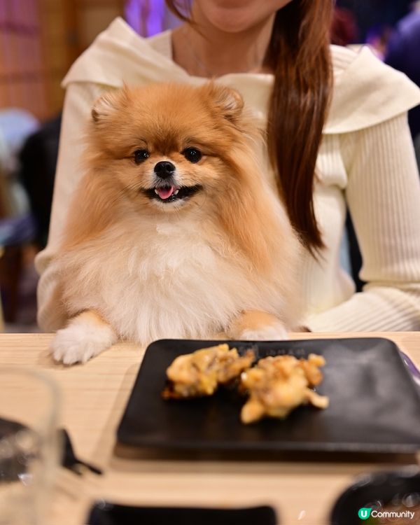 選擇多多嘅蒸氣海鮮火鍋
