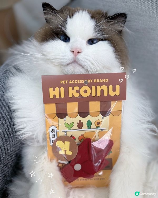 想帶貓貓扮靚靚去寵物展😻咁就要睇吓啦‼️