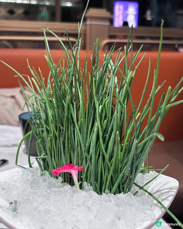 快樂小羊又返嚟！濃濃蒙古風味