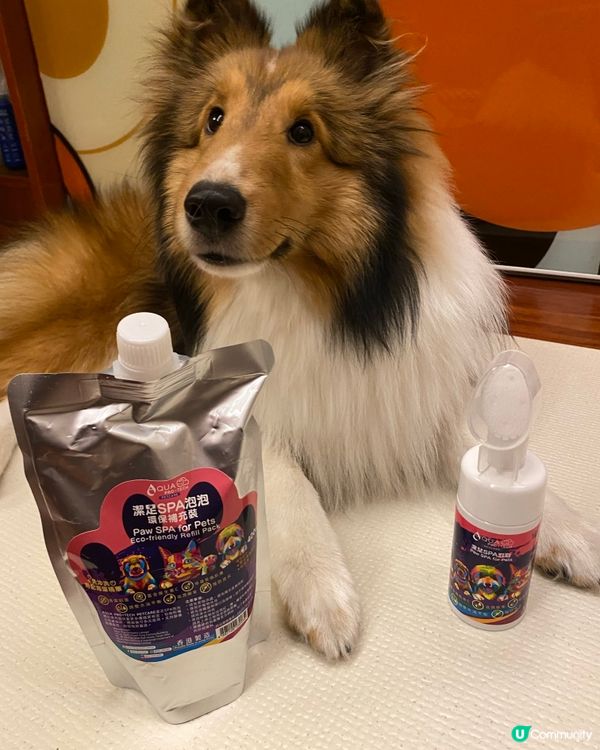 狗狗腳掌終於又滑又乾淨喇🌟