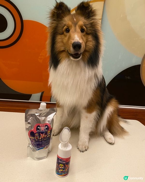 狗狗腳掌終於又滑又乾淨喇🌟